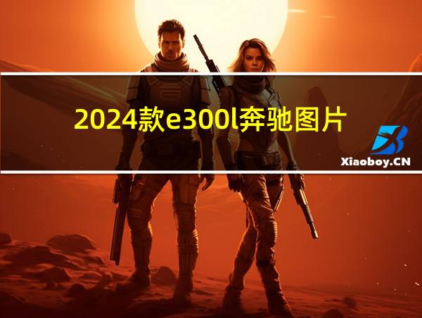 2024款e300l奔驰图片的相关图片