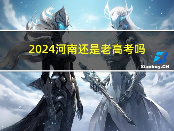 2024河南还是老高考吗的相关图片