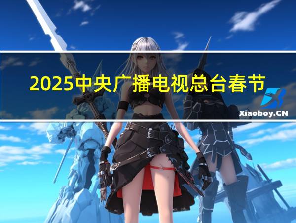 2025中央广播电视总台春节联欢晚会的相关图片