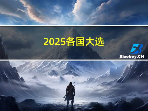 2025各国大选的相关图片