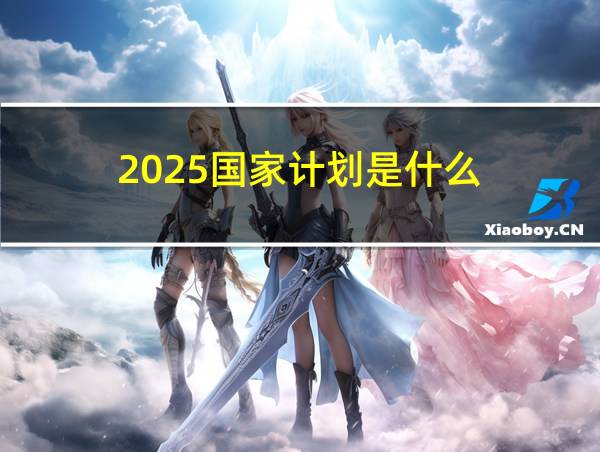 2025国家计划是什么的相关图片