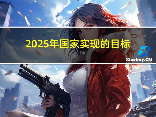 2025年国家实现的目标的相关图片