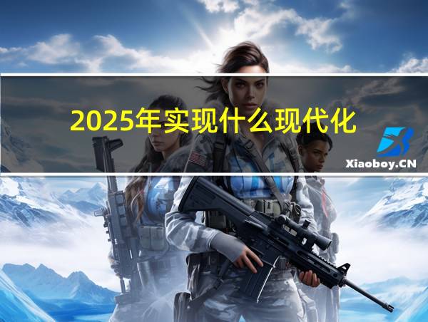 2025年实现什么现代化的相关图片