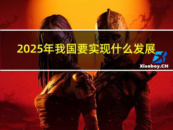 2025年我国要实现什么发展的相关图片