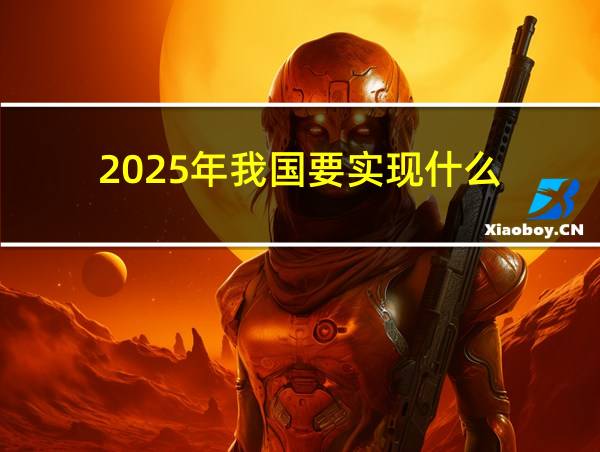 2025年我国要实现什么的相关图片