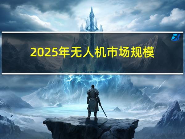 2025年无人机市场规模的相关图片