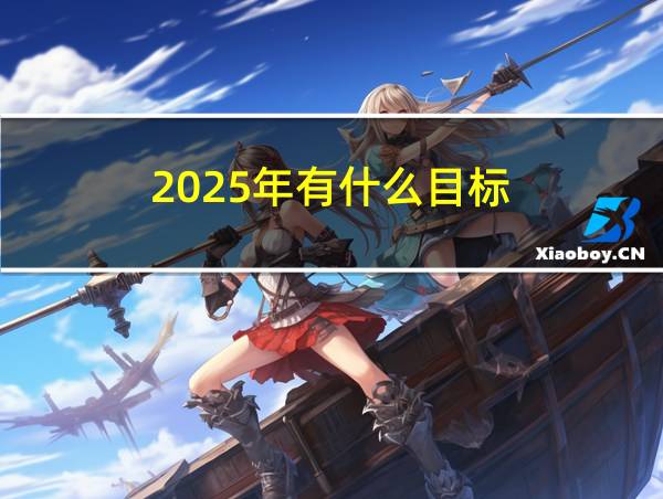 2025年有什么目标的相关图片