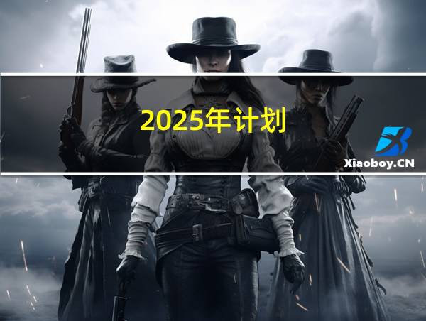 2025年计划的相关图片