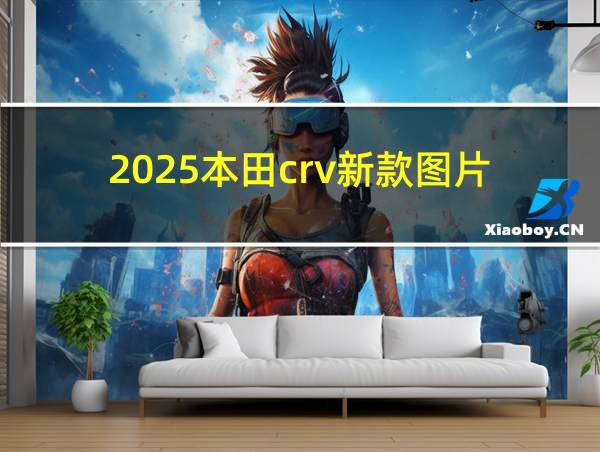 2025本田crv新款图片的相关图片