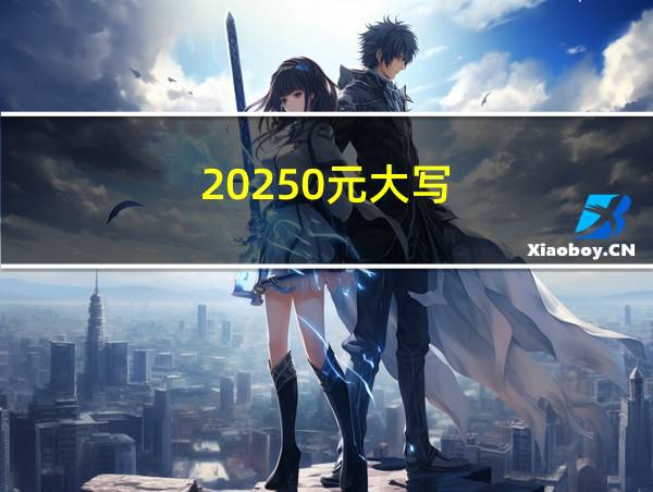 20250元大写的相关图片