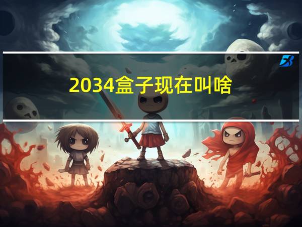 2034盒子现在叫啥的相关图片