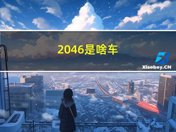 2046是啥车的相关图片