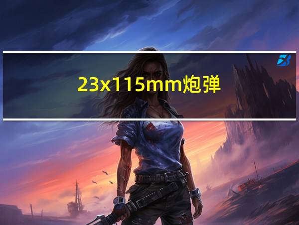 23x115mm炮弹的相关图片