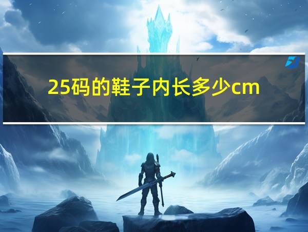 25码的鞋子内长多少cm的相关图片