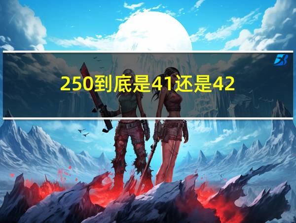 250到底是41还是42的相关图片