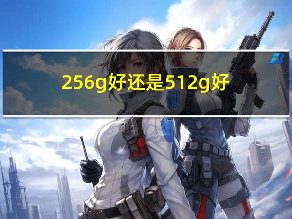 256g好还是512g好的相关图片