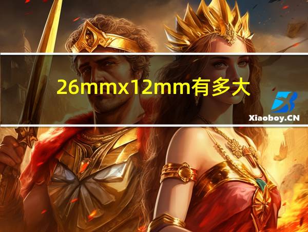 26mmx12mm有多大的相关图片