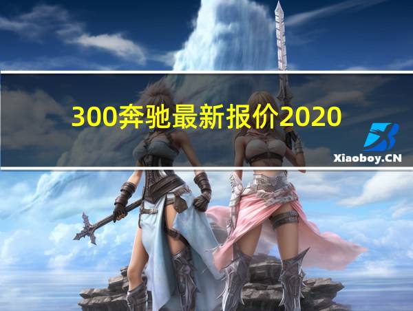 300奔驰最新报价2020的相关图片