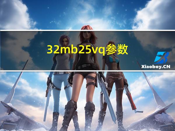 32mb25vq参数的相关图片