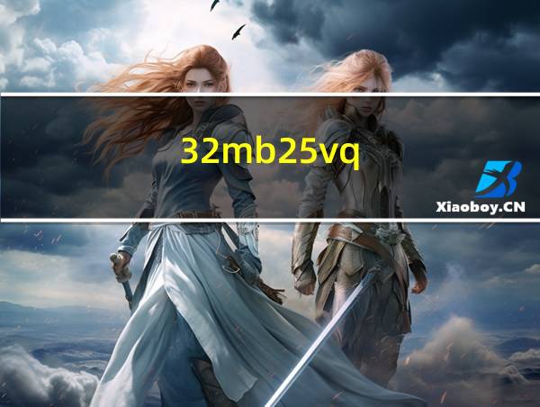 32mb25vq的相关图片