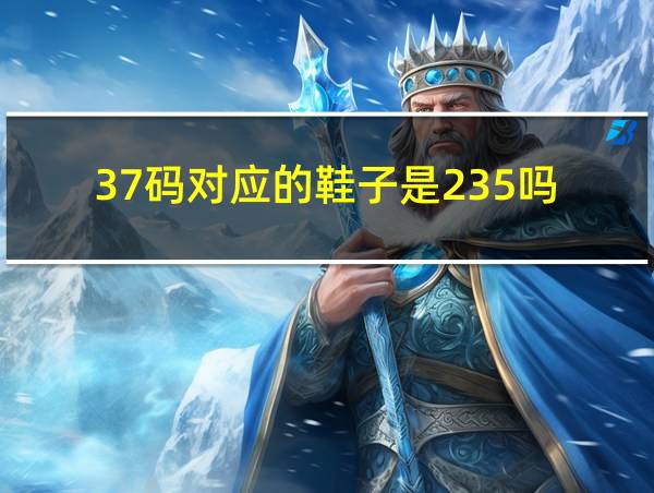 37码对应的鞋子是235吗的相关图片