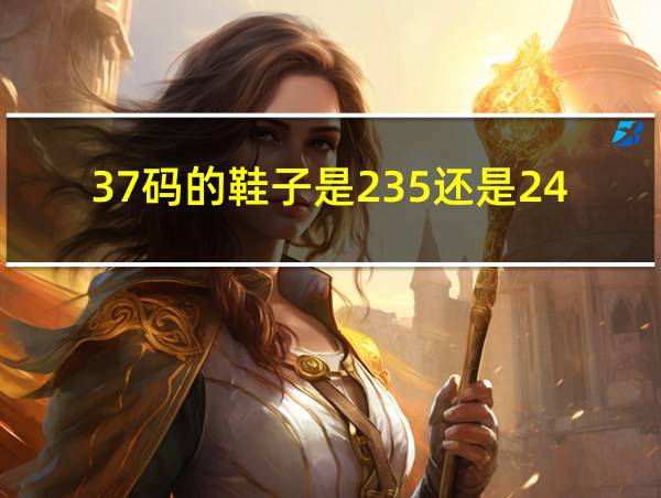 37码的鞋子是235还是240的相关图片