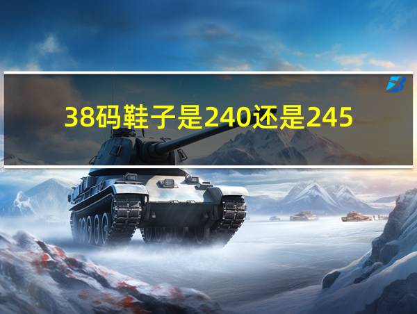 38码鞋子是240还是245的相关图片