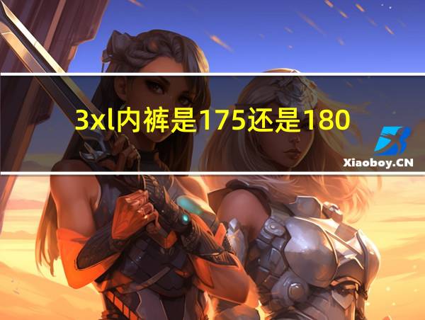 3xl内裤是175还是180的相关图片