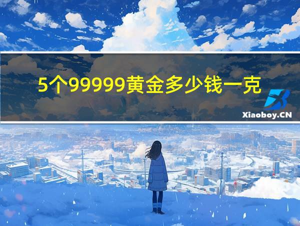 5个99999黄金多少钱一克的相关图片