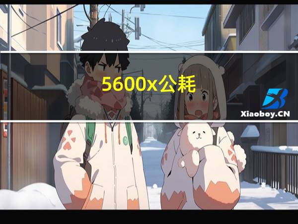 5600x公耗的相关图片