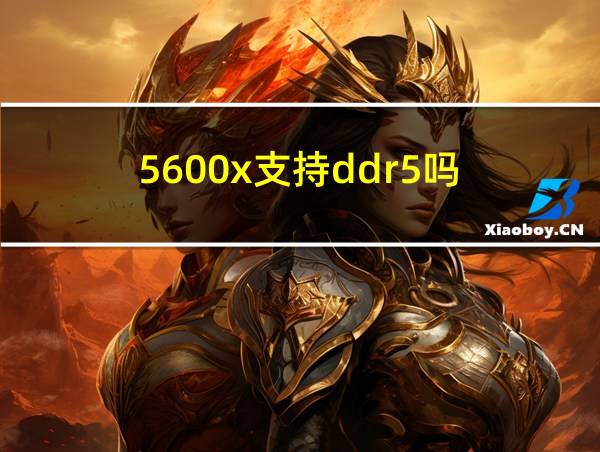 5600x支持ddr5吗的相关图片