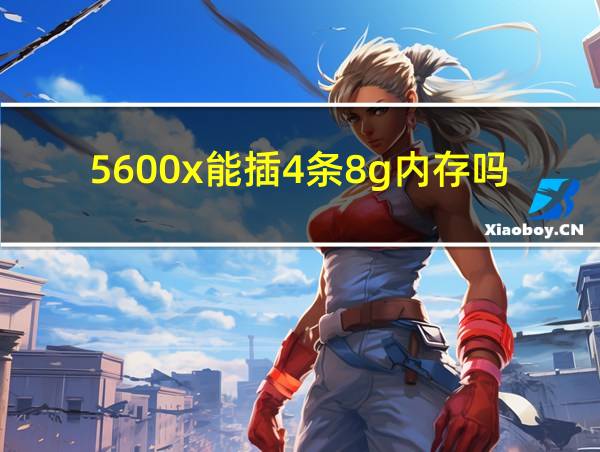 5600x能插4条8g内存吗的相关图片