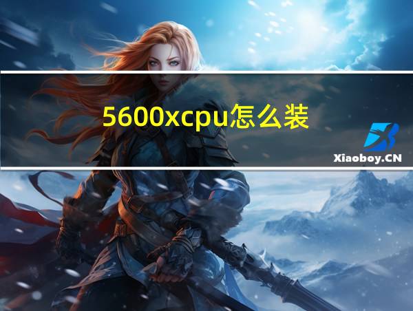 5600xcpu怎么装的相关图片