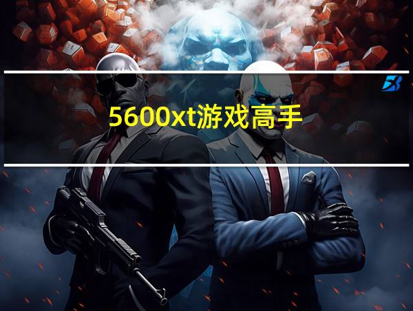 5600xt游戏高手的相关图片