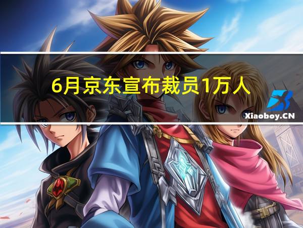 6月京东宣布裁员1万人的相关图片