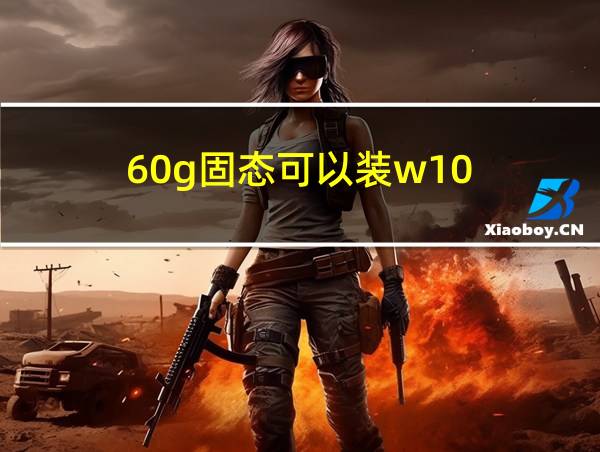 60g固态可以装w10?的相关图片