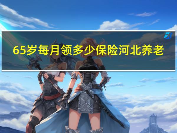 65岁每月领多少保险河北养老金的相关图片