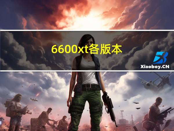 6600xt各版本的相关图片