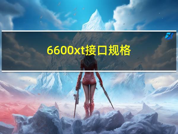 6600xt接口规格的相关图片