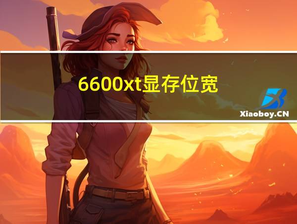 6600xt显存位宽的相关图片