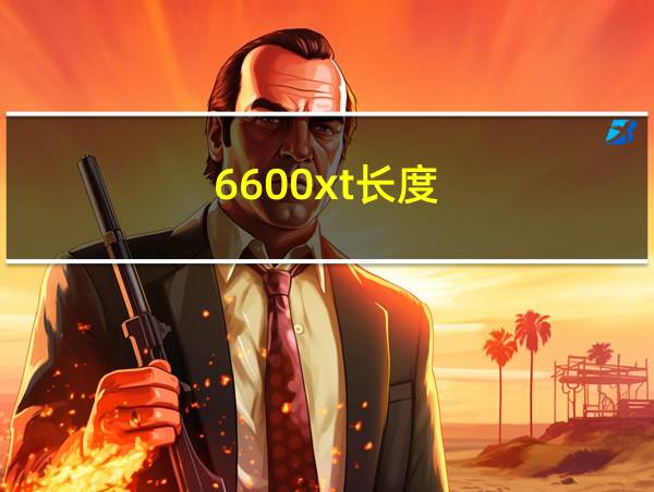 6600xt长度的相关图片