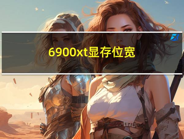 6900xt显存位宽的相关图片