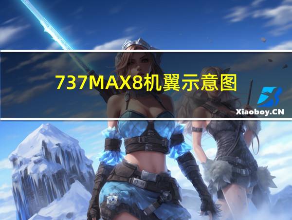 737MAX8机翼示意图的相关图片