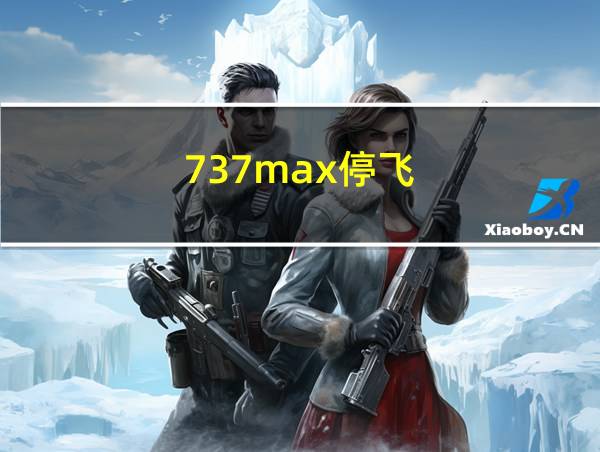 737max停飞的相关图片