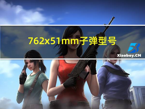 762x51mm子弹型号的相关图片