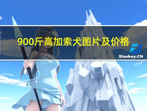 900斤高加索犬图片及价格的相关图片