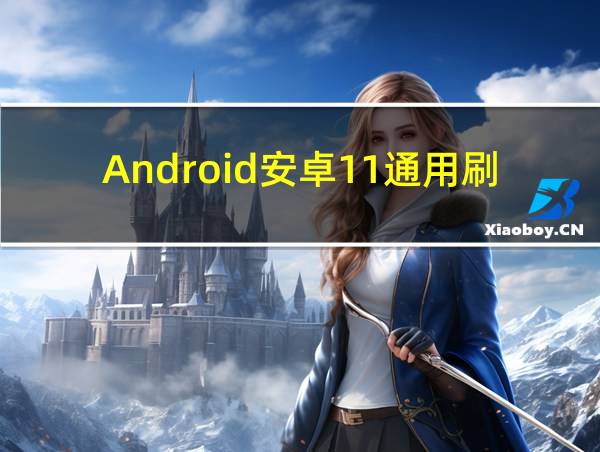 Android安卓11通用刷机包的相关图片