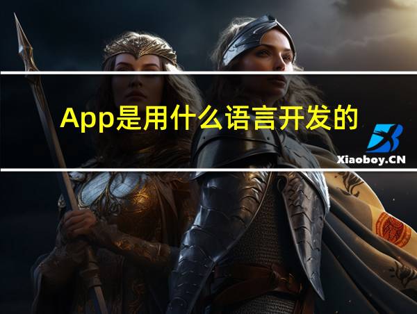 App是用什么语言开发的的相关图片