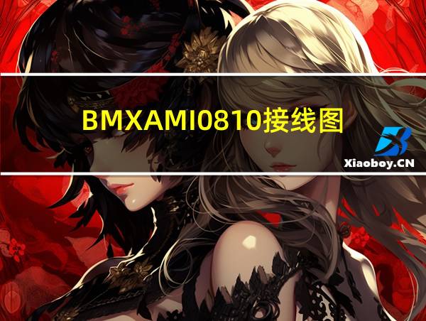 BMXAMI0810接线图的相关图片