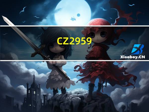 CZ2959-600的相关图片